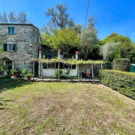 Lobster Cottage Apartment 莱万托 外观 照片