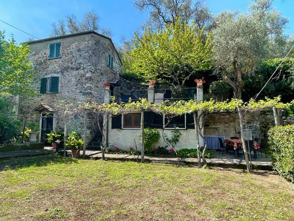 Lobster Cottage Apartment 莱万托 外观 照片