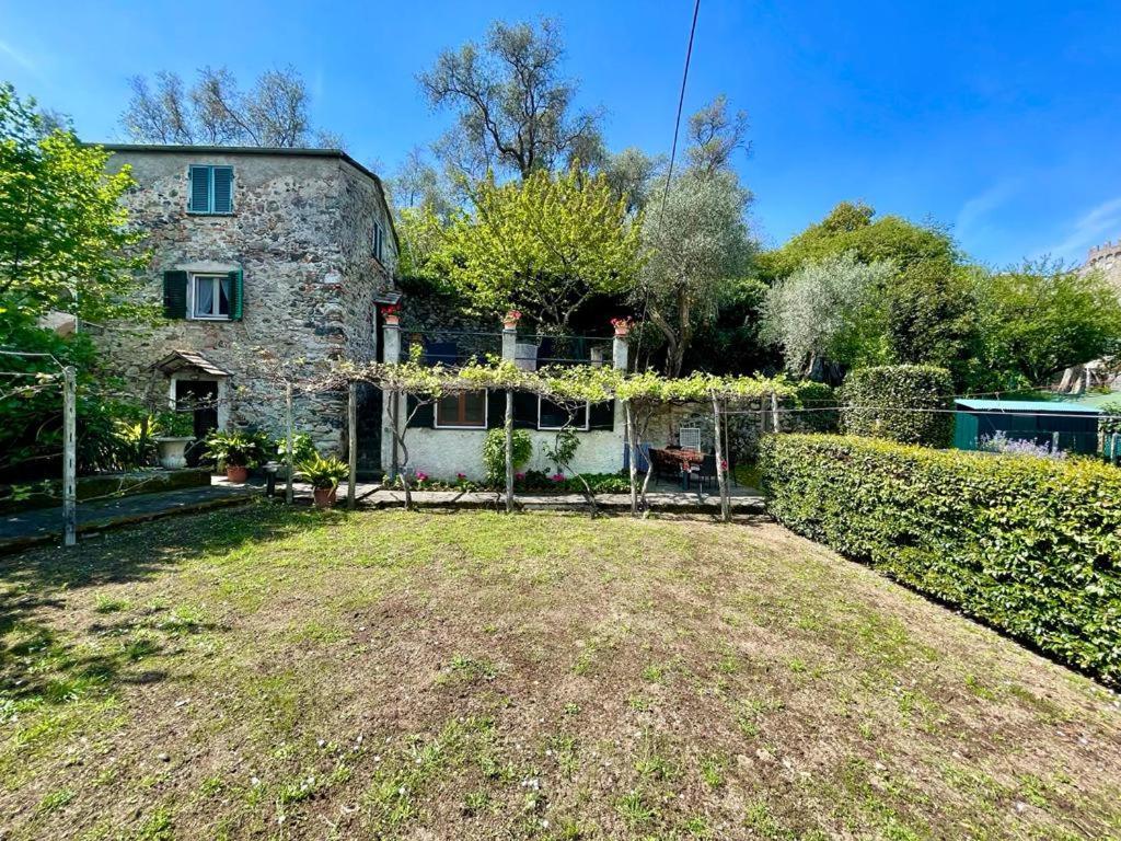 Lobster Cottage Apartment 莱万托 外观 照片