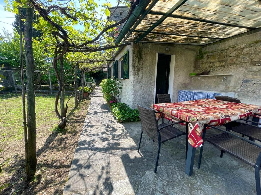Lobster Cottage Apartment 莱万托 外观 照片